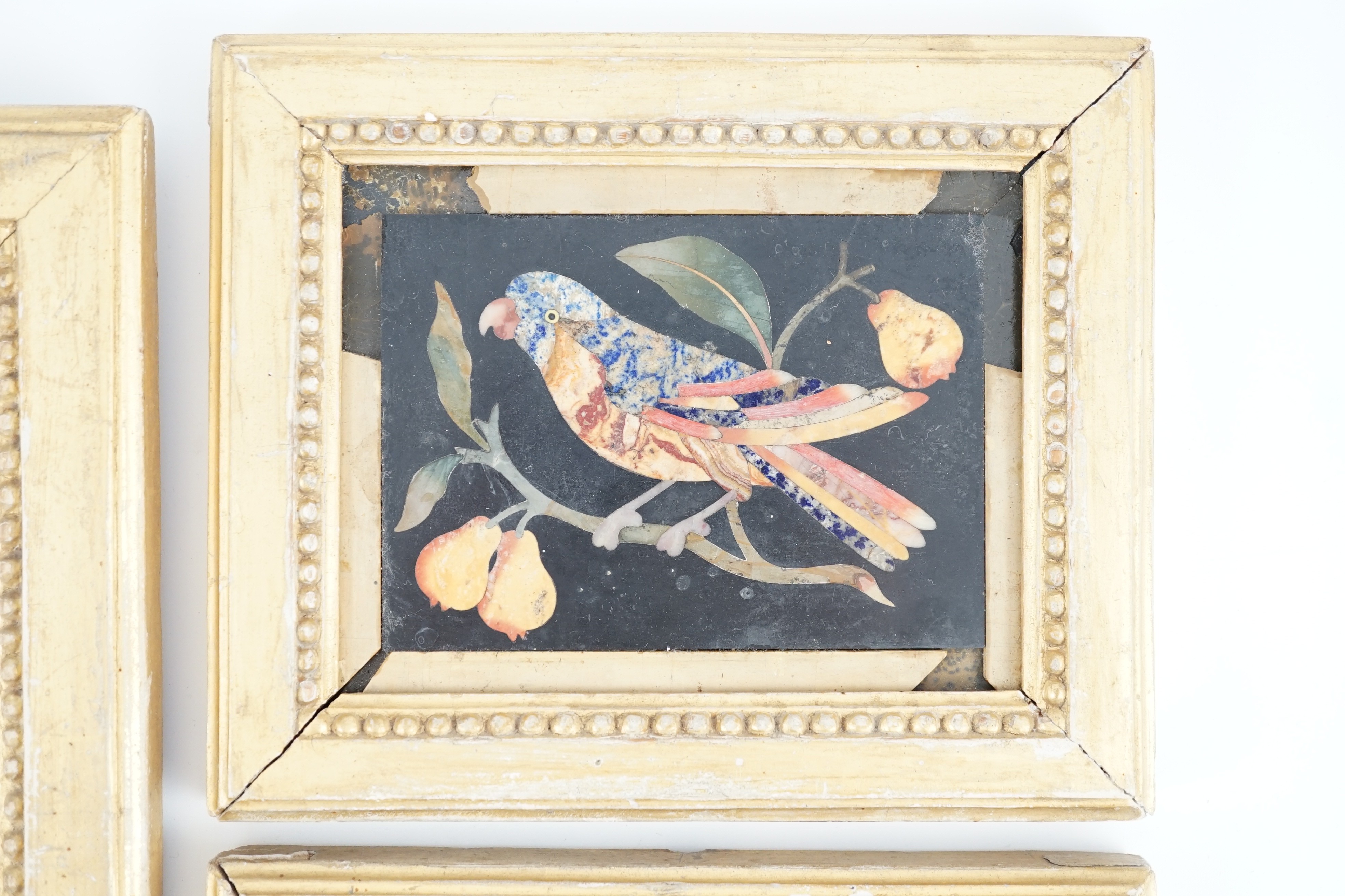 Three 17th / 18th century Italian pietra dura plaques depicting parrots on cherry branches, largest 21 x 15cm, the pair 10.5 x 13cm.